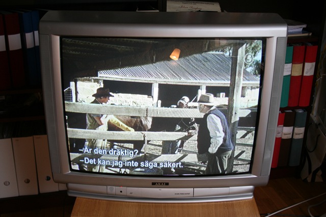 [TV-Skärm_20080826_9999_5[7].jpg]