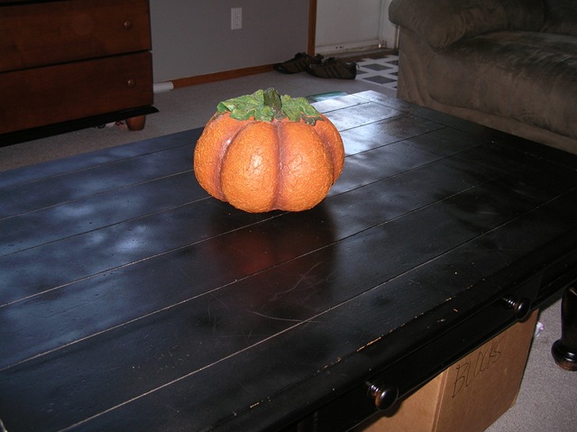 [DSCN04922.jpg]