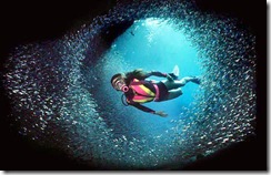 scuba_dive006_lge