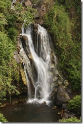 BigIsland 098