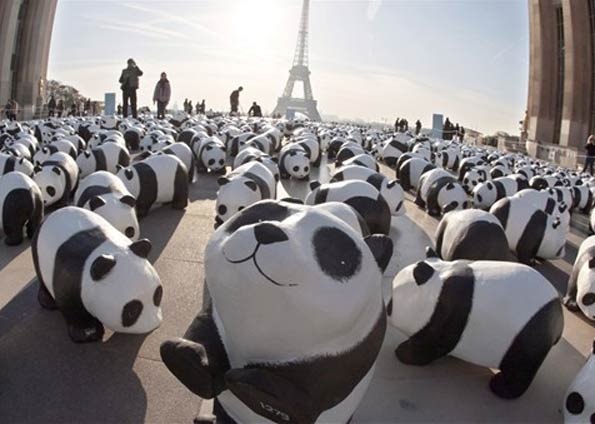 [pandas em Paris[4].jpg]