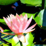 my photography my photos