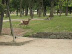 20080508_0249.JPG