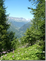 P1010094