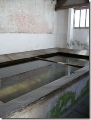 P1010177
