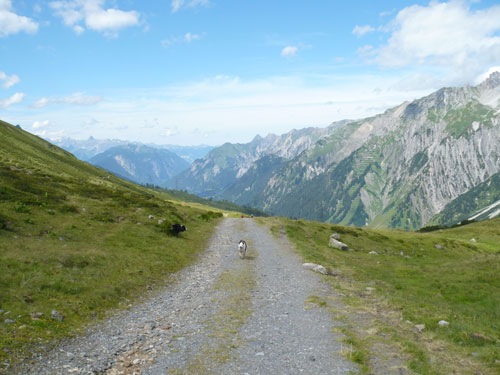 [P1010412[2].jpg]