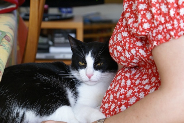 [PIC Giu le zampe dalla Zia[4].jpg]