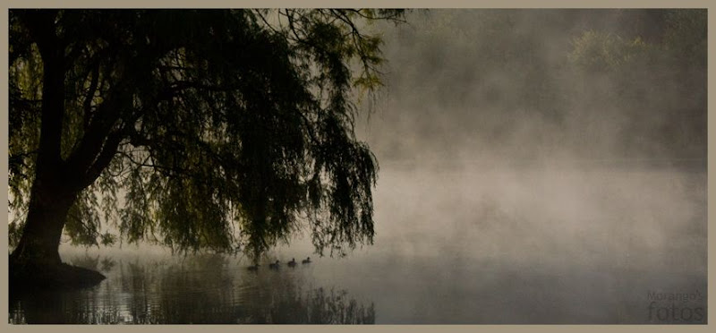 Promenade familiale - Etangs de Maransart - Brabant Wallon - Belgique - Anne-Sarine Limpens 2008