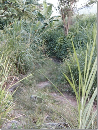 P1010044