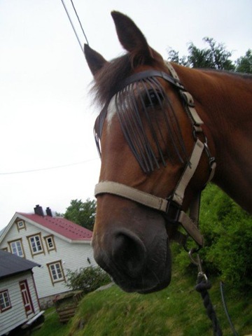 [n587690729_208569_7684[5].jpg]