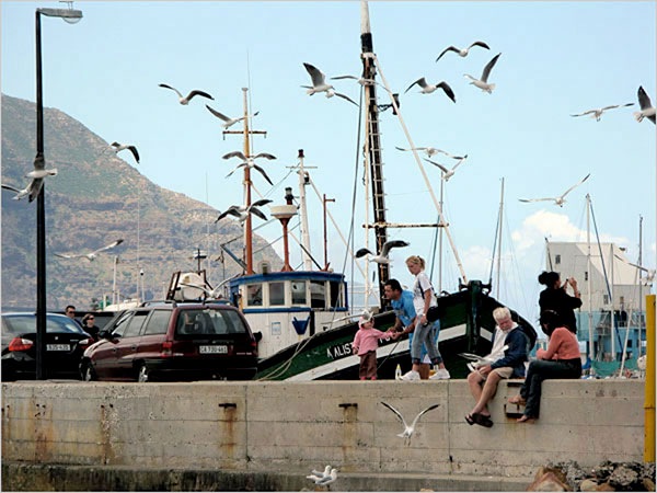 [Cape Town 1[2].jpg]