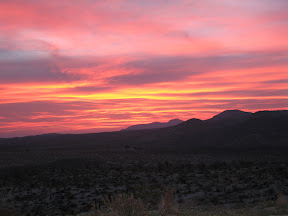 I awoke to this spectacular sunrise. Taken with flash