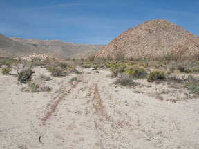 Anza 536.jpg