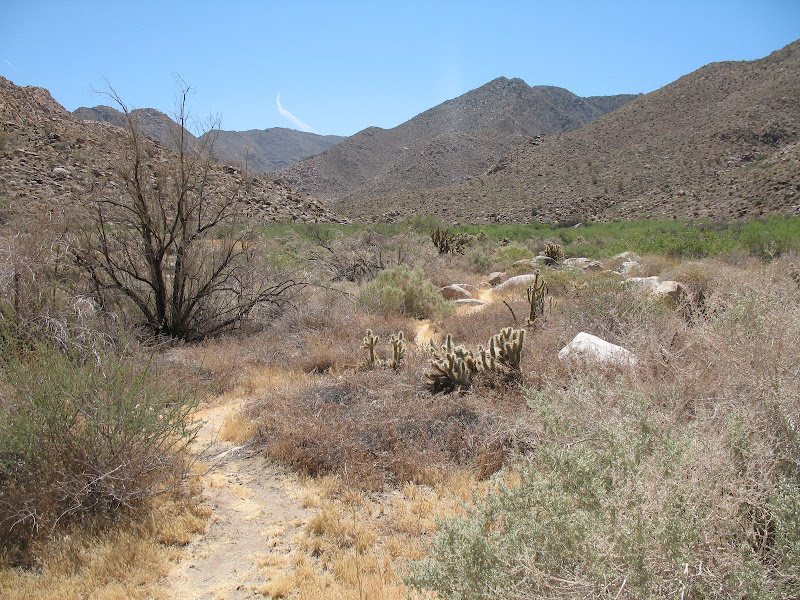 Carrizo Gorge trail heading towards Goat Canyon