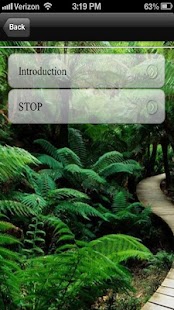 How to mod Quick start weight loss patch 3.1 apk for bluestacks