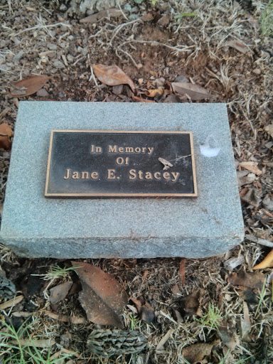 In Memory Of Jane E. Stacey