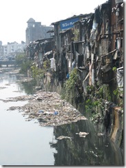 Bombay 003