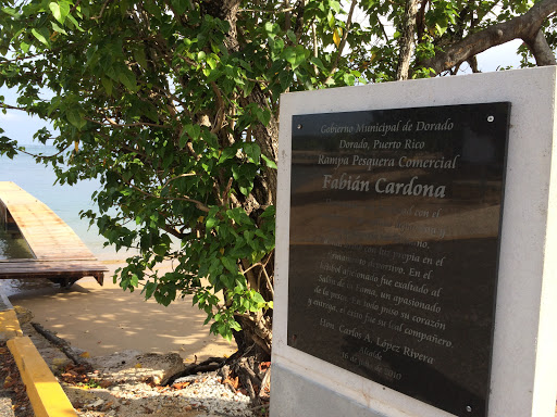 Fabián Cardona Memorial 
