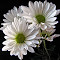 20110218_61.JPG