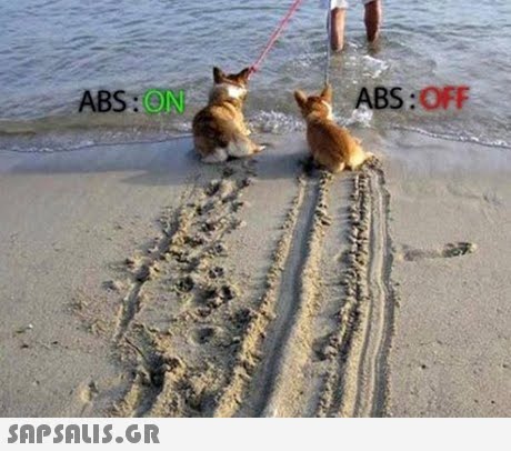 ABS: ABS:OFF 
