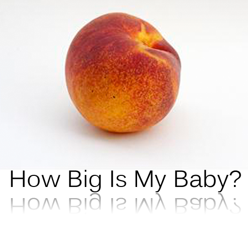 How Big Is My Baby? - Due Date 健康 App LOGO-APP開箱王