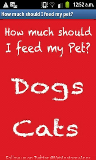 How Much Should I Feed My Pet