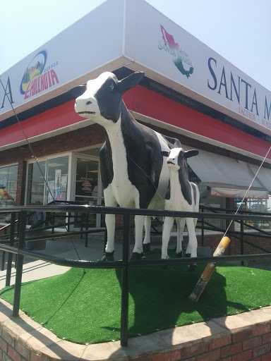 Las Vacas De Santa Maria