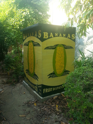 Bananas Dispatch Shed   