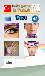 How to install Learn Body Parts in Turkish 1.0.7 mod apk for pc