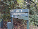 Kellys Falls