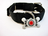 Promocion Para Tu Mascota Placa  Datos  Collar