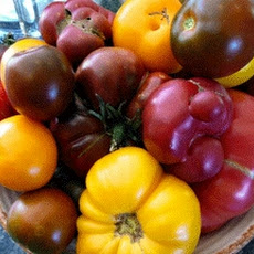 Simple Summer Corn and Heirloom Tomato Salad