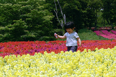 フラワーヒル菊池高原2