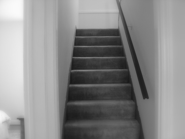 [Picture4653.jpg]
