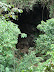 Canopy a la entrada