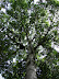 Paciencia Paciencia