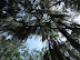 Colgando del cielo