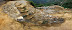 Escaleras abajo Escaleras abajo