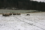 IMG_1149.JPG