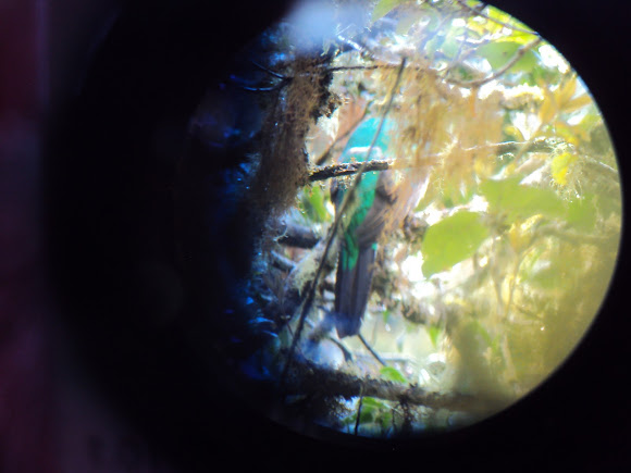 Spotting Image 1