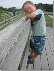 IMG_1316 IMG_1316