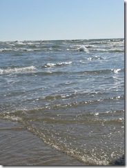 IMG_1441 IMG_1441