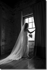 _MG_9982-Edit