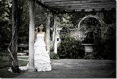 _MG_9260-Edit-Edit