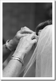 _BOL8513-Edit copy