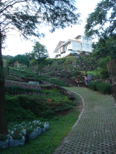 [DSC0790315.jpg]