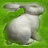 Poor Bunny mobile app icon