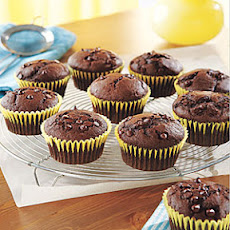 Cocoa Cupcakes