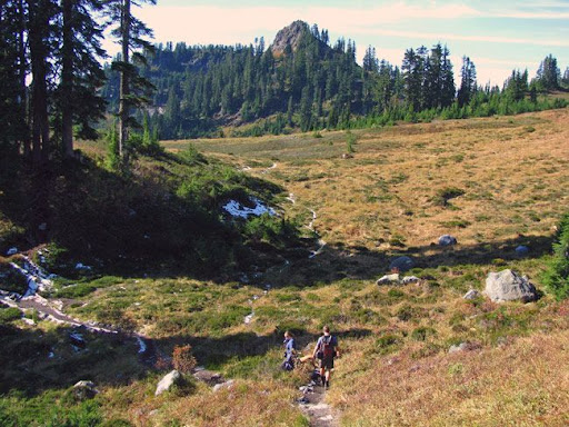 Schriebers Meadow
