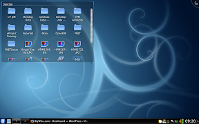 KDE4.1 on Lenovo